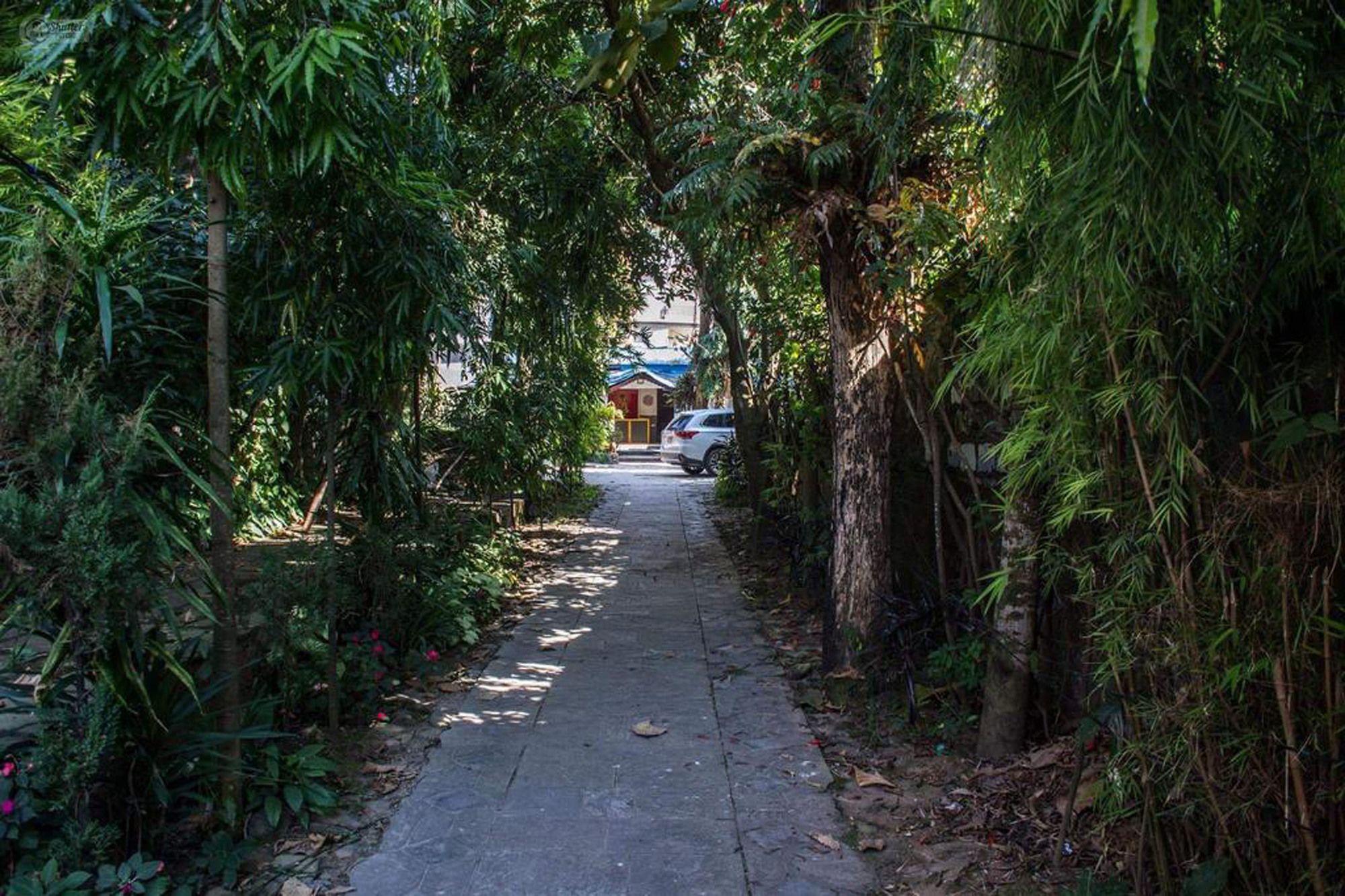 Yeti Guest House Pokhara Dış mekan fotoğraf